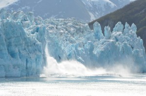 Glacier Bay Calving